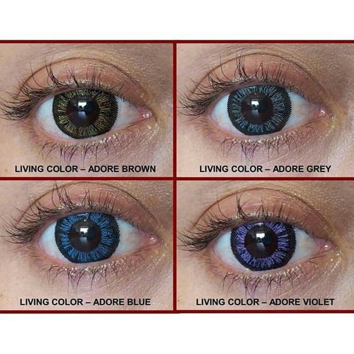 [ Adore ] Softlens Living Color Adore[g168]