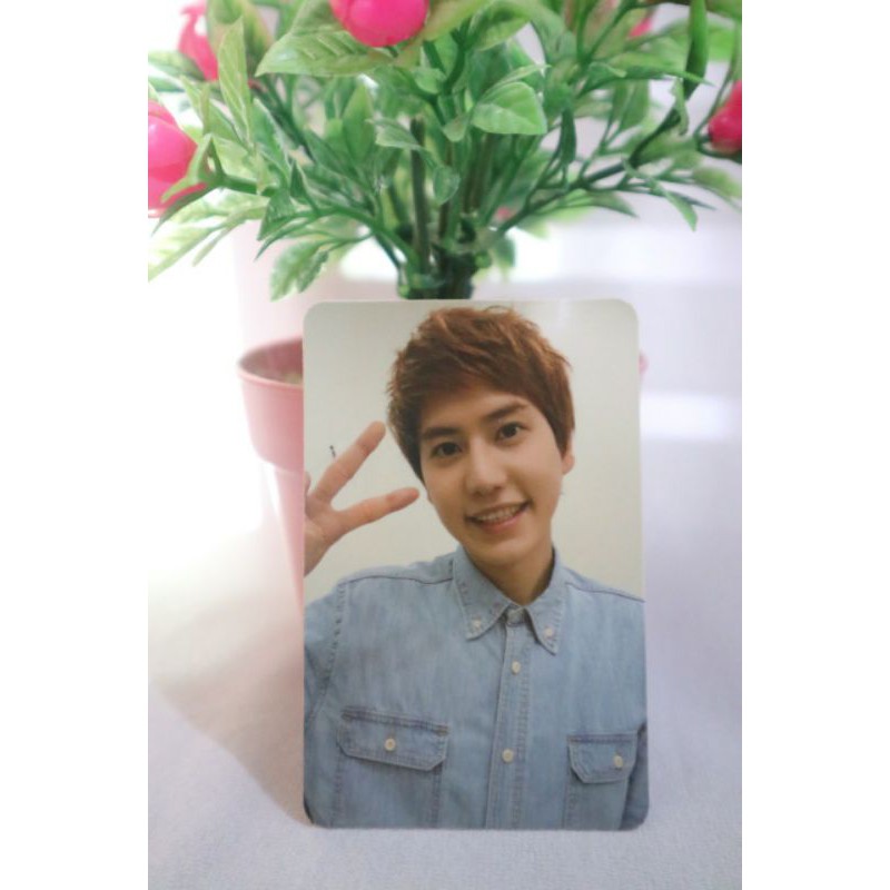 (Ready Stock) Photocard / PC kyuhyun super junior 6th sexy free & single Album unsealed preloved