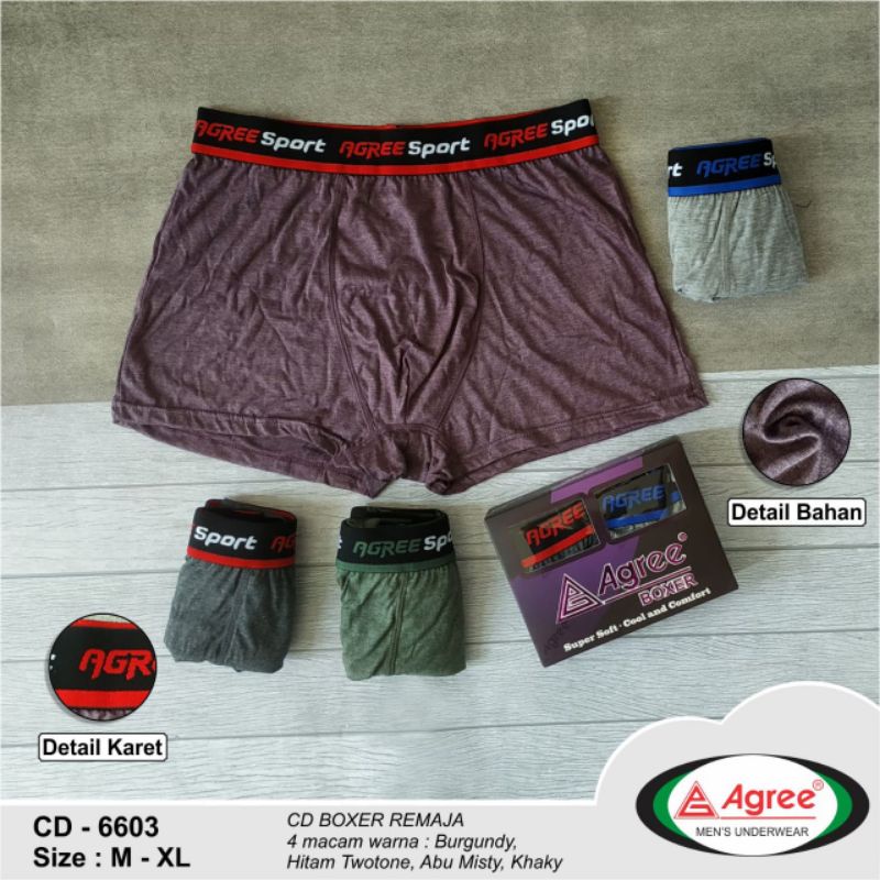 Celana Dalam Pria Boxer Agree 6603 Super Soft Cool and Comfort isi 2pcs