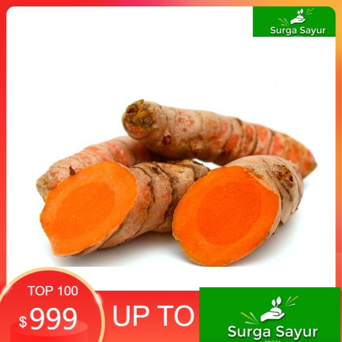 

SURGA SAYUR SEGAR Kunyit 100 Gram