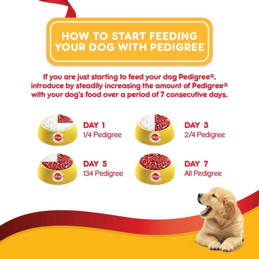 Pedigree Puppy 400gr Basah Makanan Anjing Pedigree Puppy Kaleng 400gr