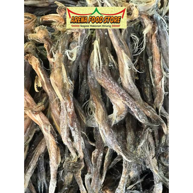 

Ikan Belalang