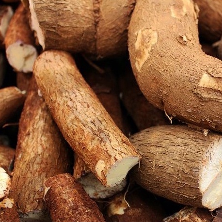 

Singkong 250gr
