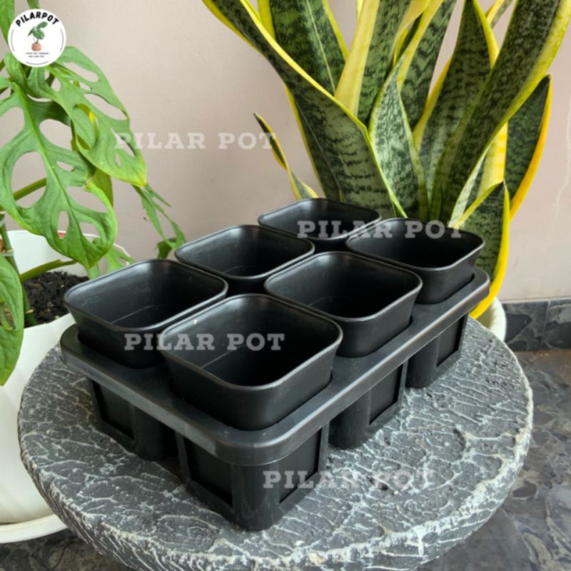 1 set Tray + POT BUNGA NKT KOTAK 7 CM HITAM | tray semai bibit