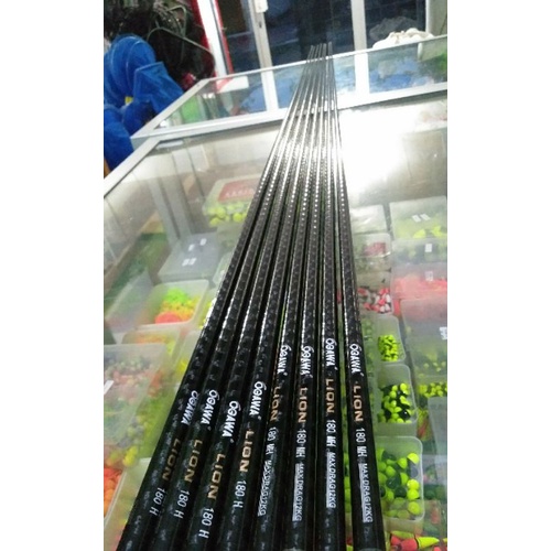 blank carbon tebal ogawa lion h mh