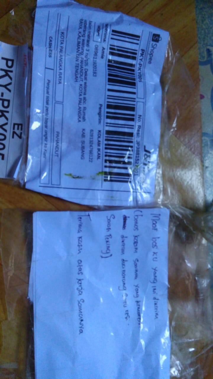 Terpal A2 Korea Warna Biru Biru  Ukuran 4x5 Kualitas Sedan Bisa Cod.