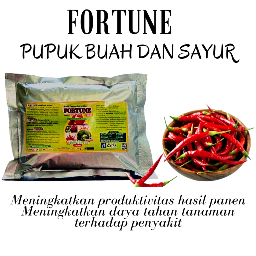 Pupuk Cabe Merah, Pupuk Atasi Layu Daun Cabe, Busuk Akar Daun Cabe