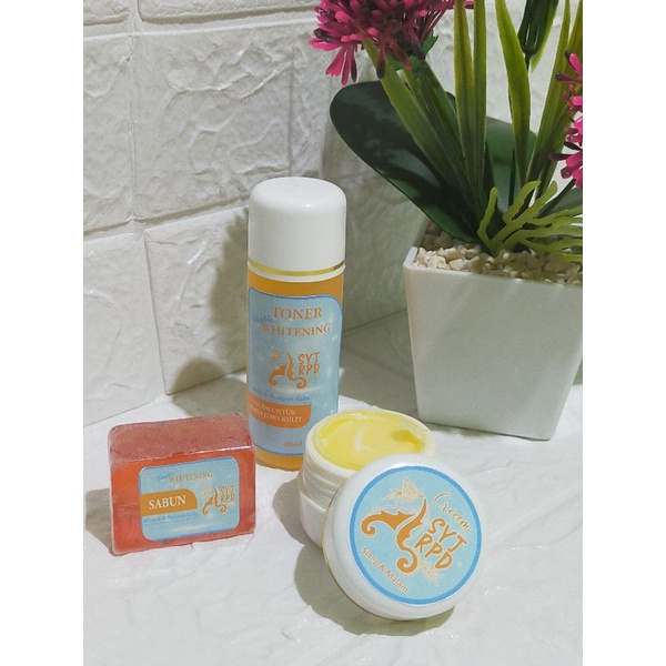 SkinCare SYJ Cream Paket Normal