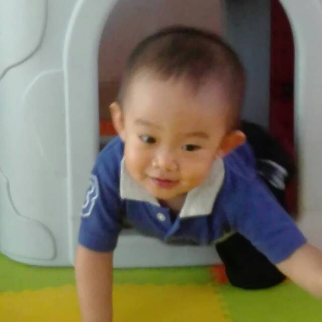 shark_olshop