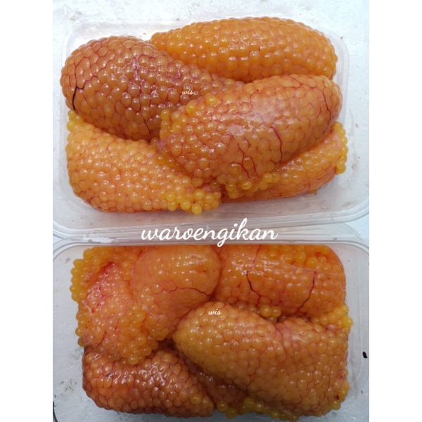 Telur ikan Sembilang  segar harian 500g (telur ikan Sembilang)