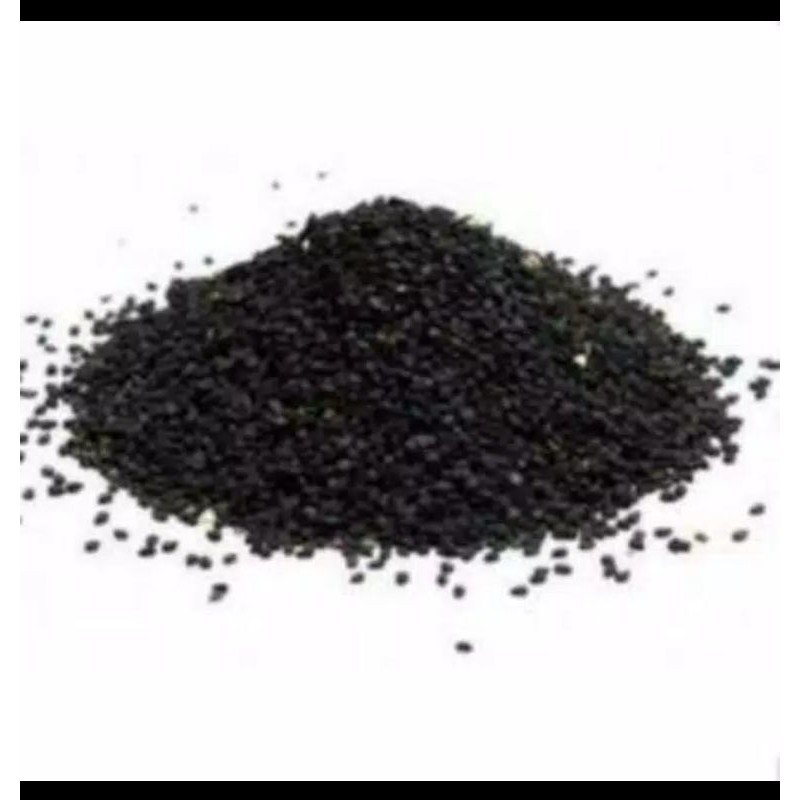 

biji Kedawung original 1kg