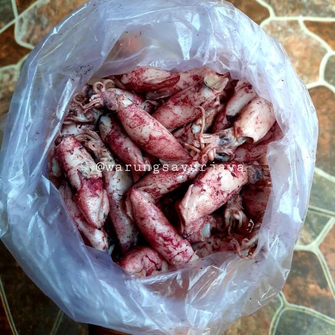 

[COD] Cumi Asin / 250 gram [COD]