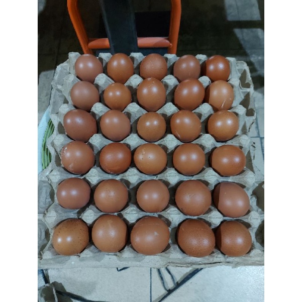 

telur ayam negri 30butir (+/-1,9kg)