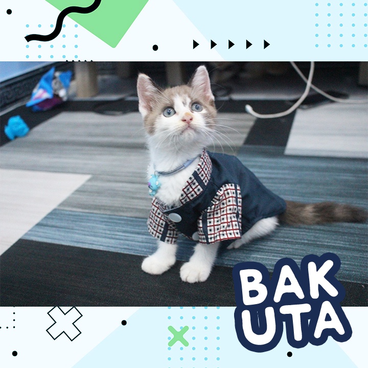 Bakuta - Baju Koko Kucing Lebaran Terlaris Sepanjang Massa / Baju kucing Harga Spesial Size S-XL