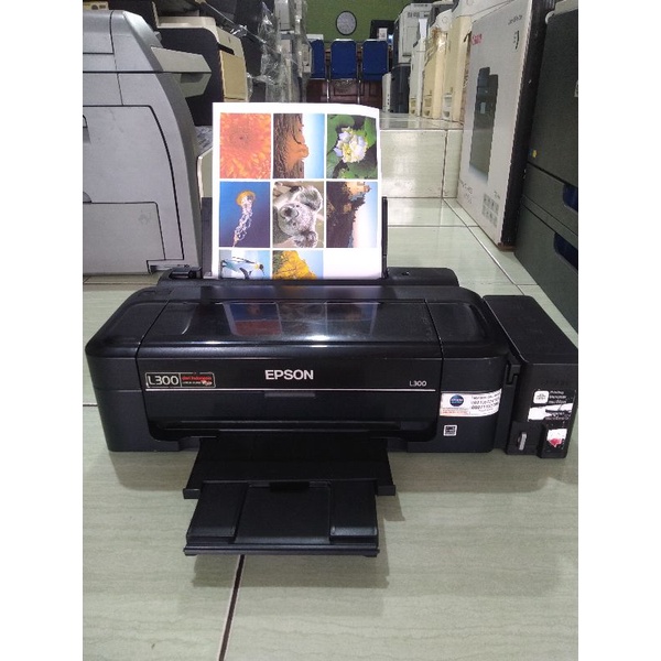 printer Epson L300