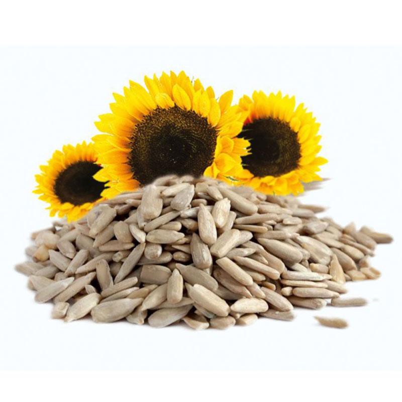 

Raw Sunflower Seed / Kuaci / Sunflower Seed / Biji Bunga Matahari Kupas / Biji Bunga Matahari Mentah 100gram