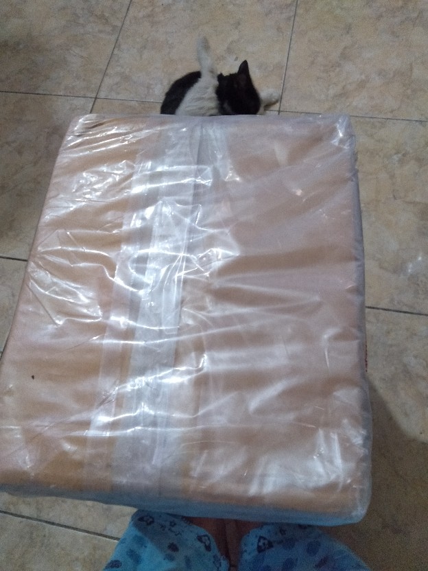 Soklin Softergent 800 Gram