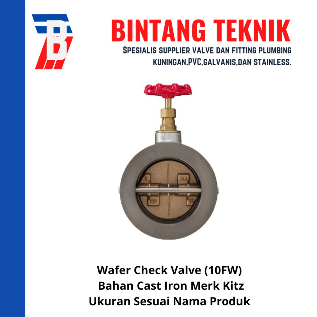 Wafer Check Valve 5" inch Cast Iron Kitz (10FW)