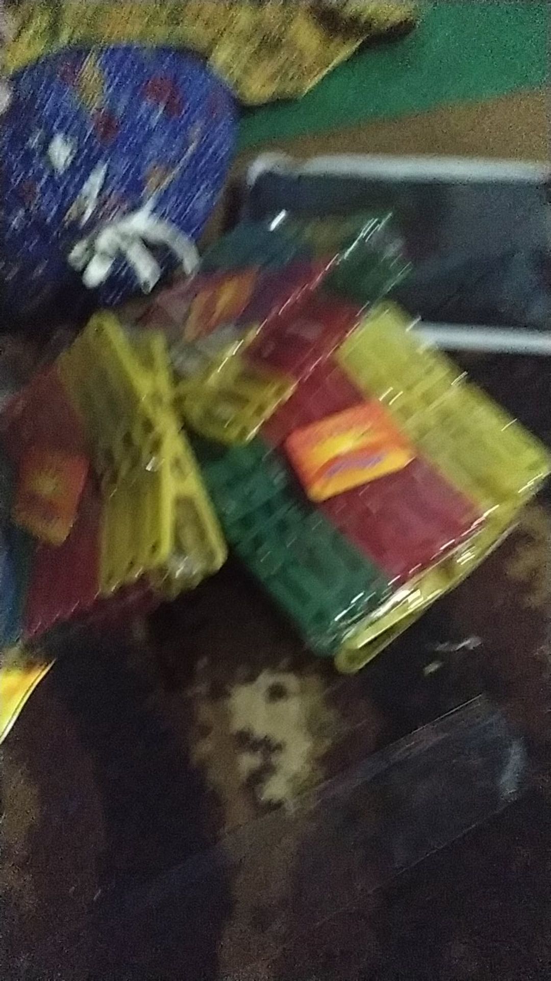 Paku Payung Pinus