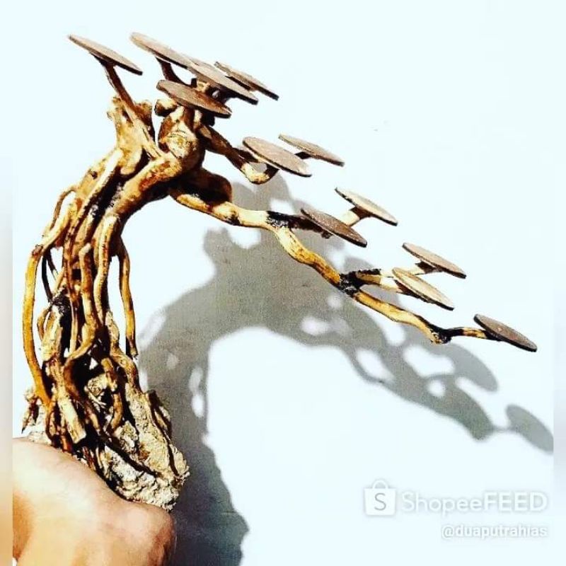 BONSAI AQUASCAPE SUDAH BONUS MOSS