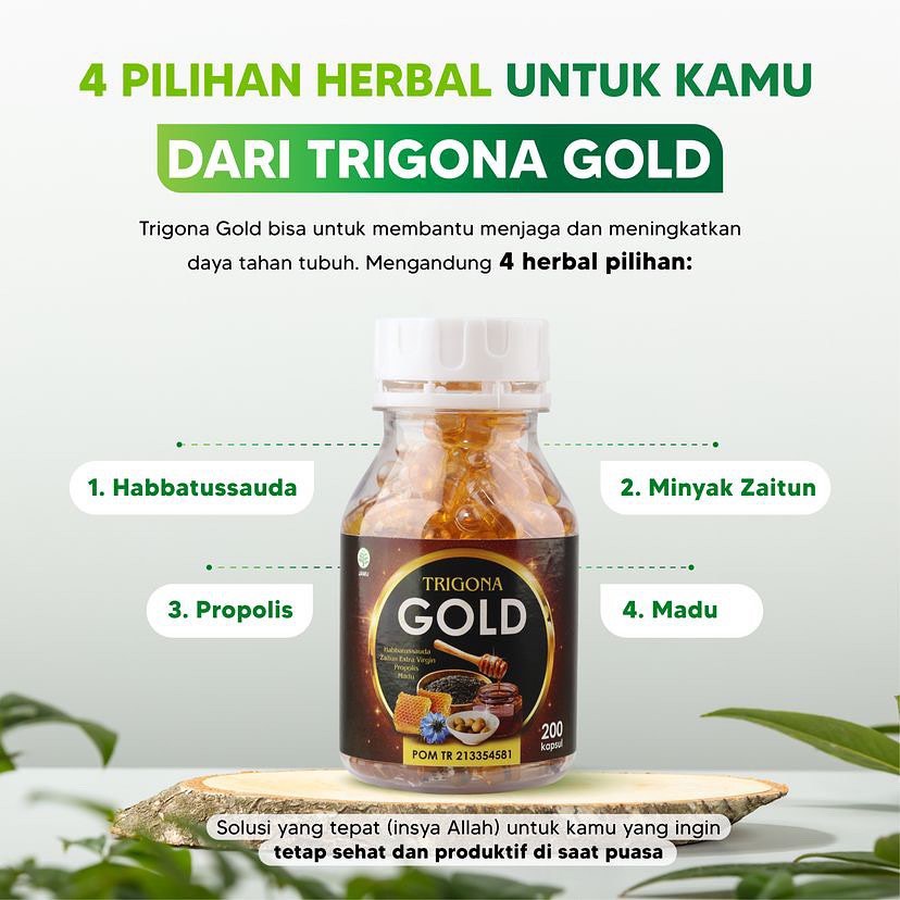 Habbatussauda Extra Propolis Trigona Gold Habatusauda Original Asli 100 200 Kapsul