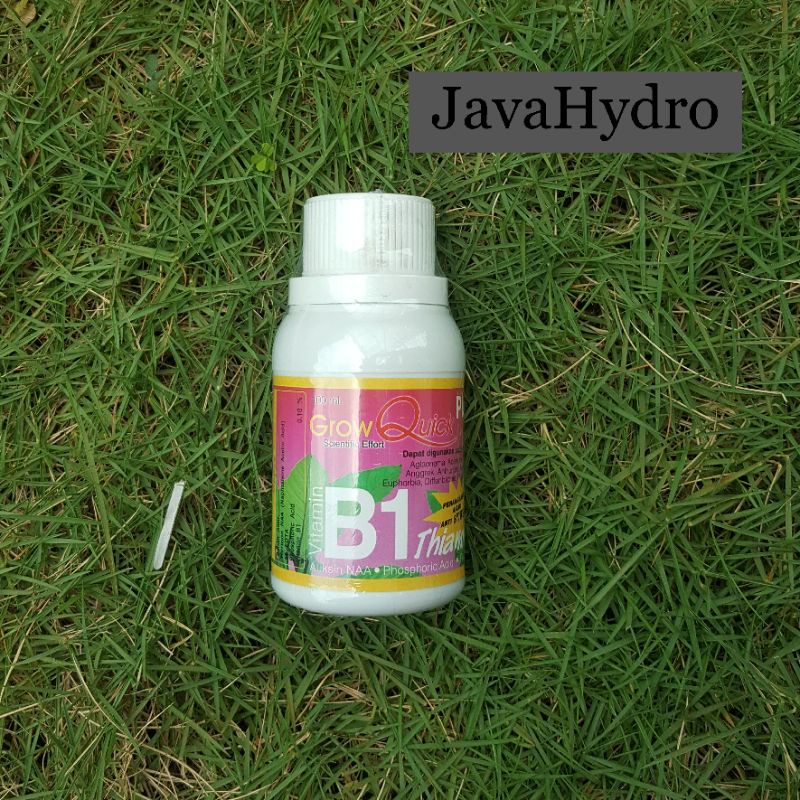 Vitamin B1 Grow Quick plus anti stress tanaman anggrek