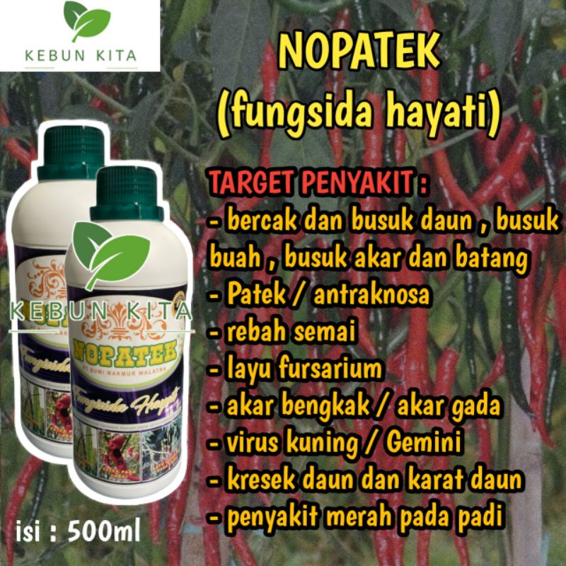 NOPATEK (fungsida hayati)