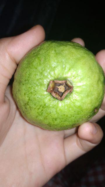 Gamis Batik Manggar,padi,sekar,cantik,kubis,kipas,daun,kupu,nadine,gendis