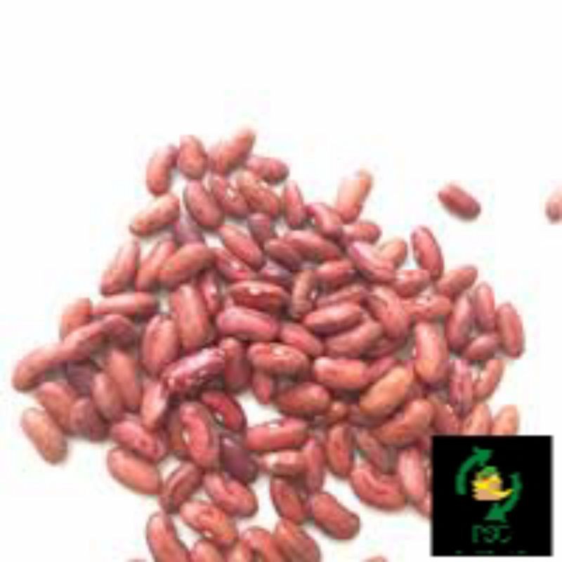 

KACANG MERAH BASAH/250GR