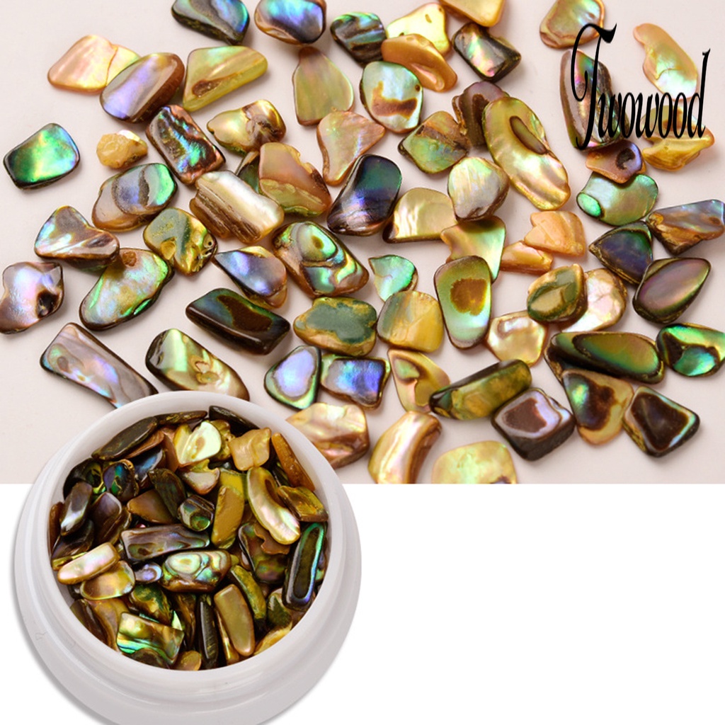 Irisan Kerang Abalone 3D Warna-Warni Untuk Dekorasi Nail Art