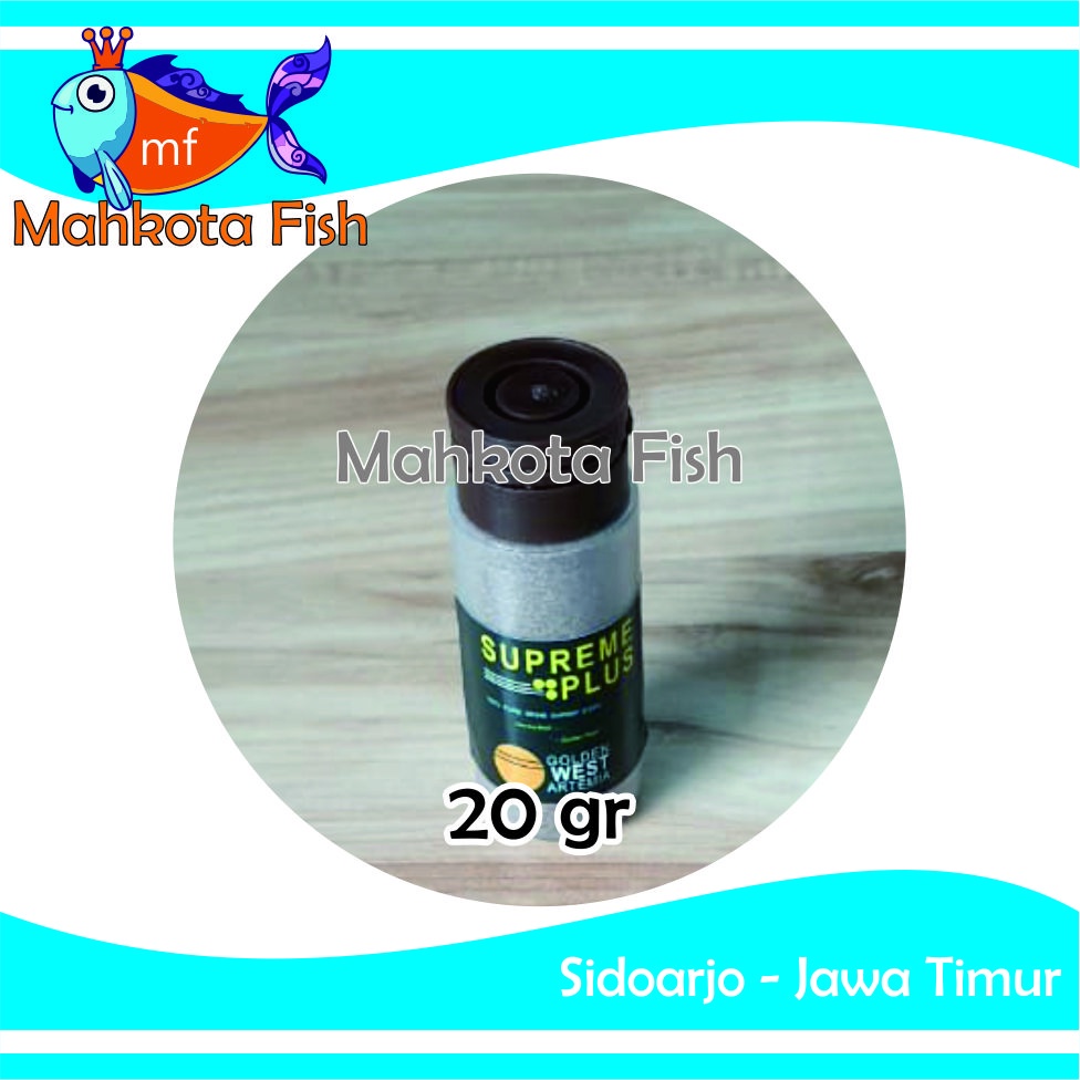 Artemia Supreme Plus | Golden West Artemia | Daya Tetas Tinggi | Makanan Vitamin Ikan dan Udang