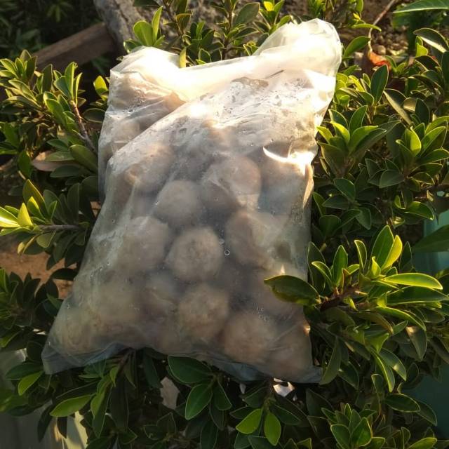 

Bakso daging sapi 500 gram