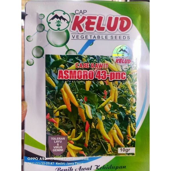 Cabe Asmoro 43 Pnc Tahan Virus Kemasan 10gr Original Cap Kelud