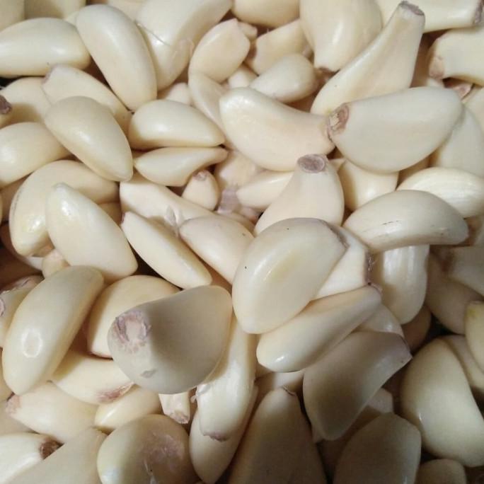 

[[COD]] bawang putih kupas TERPERCAYA Kode 1440