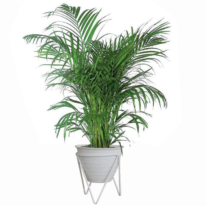 Standing Pot / Penyangga Pot Besi D 17 Cm T 17 Cm (11660)