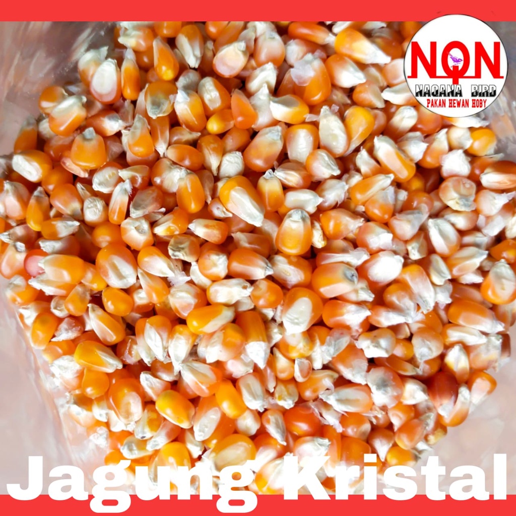 Jagung Kristal Cap Merpati / burung dara / merpati / jagung makanan burung 1kg / jagung kecil-kecil 