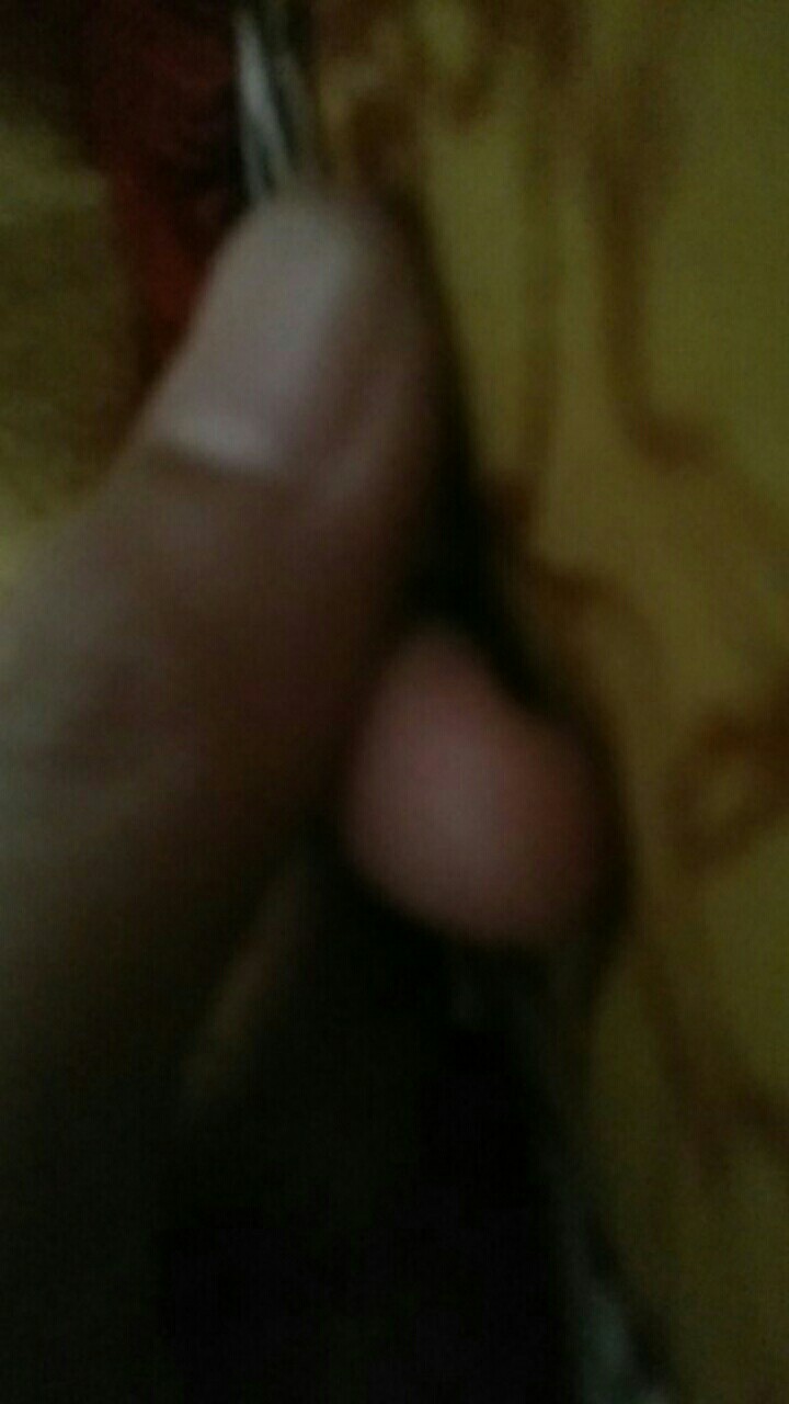 Fogo Stella Pengharum Lemari