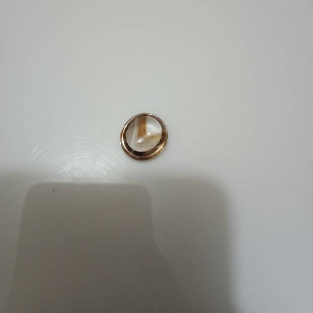 Kecubung junder asli borneo kalimantan