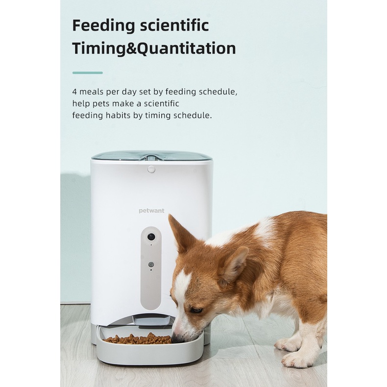 PETWANT F1 Camera Smart WiFi Automatic cat dog feeder Dispenser Makan Otomatis Kucing Dan Anjing