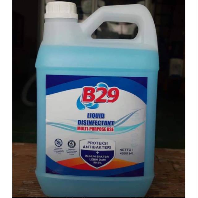 B29 liquid disinfectant 4 Liter