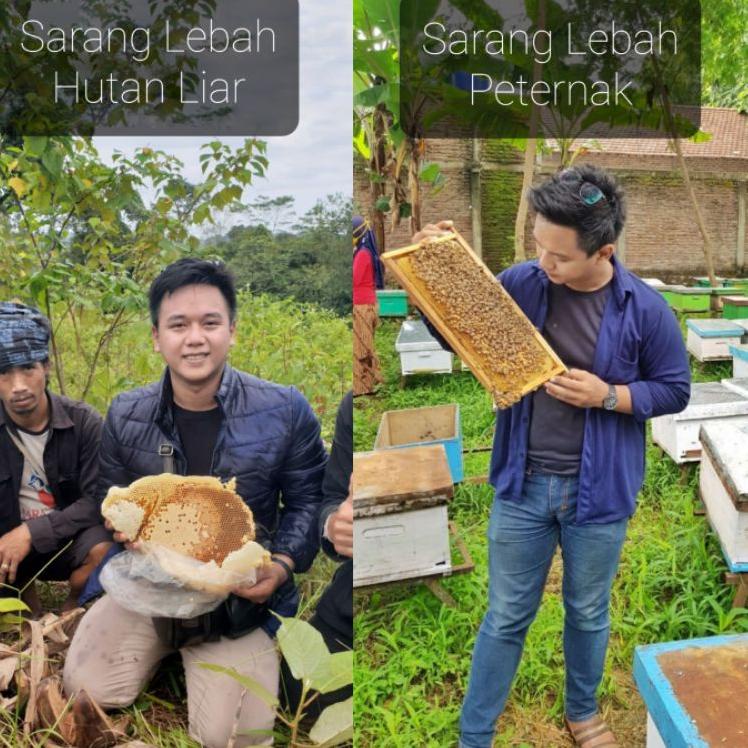 

(PROMO YBG100) Supplier Madu Sumbawa Asli Ukuran 500 Gram - Madu Odeng- Madu Sialang Riau - Agen dan Reseller Masuk ❉