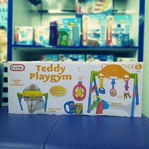 Fun Time Teddy Playgym/mainan edukasi