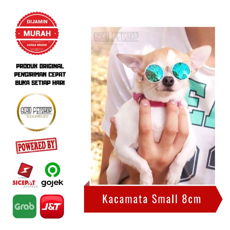 Kacamata Hewan Kucing / Kacamata Anjing Kecil / Eyeglasses Dog / Sunglasses Cat 8cm