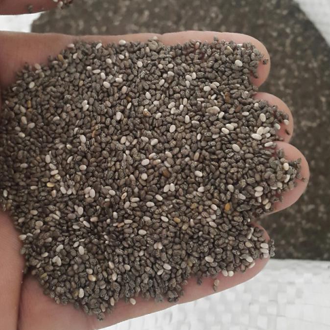 

Chia Seed Organik Karung 25Kg Marinaaa1010Shop
