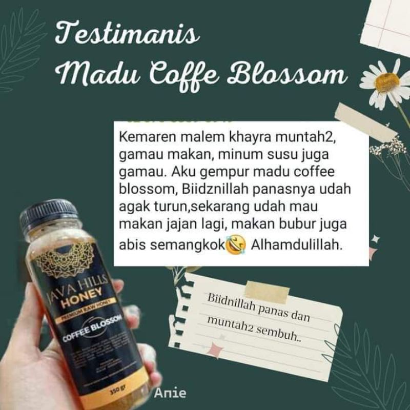 GRATIS SENDOK KAYU / MADU COFFE BLOSSOM JAVAHILLS / RAW HONEY / MADU MURNI / MADU ASLI