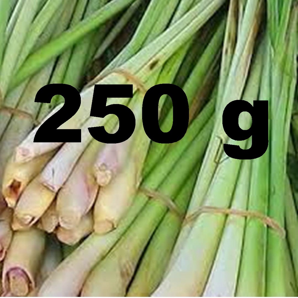 

250 gram Sereh Segar