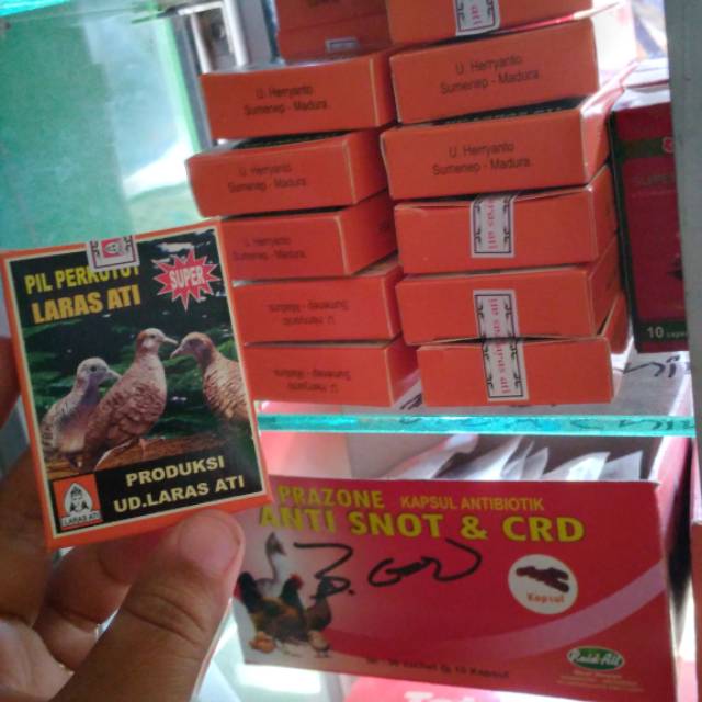 Pil Perkutut Larasati