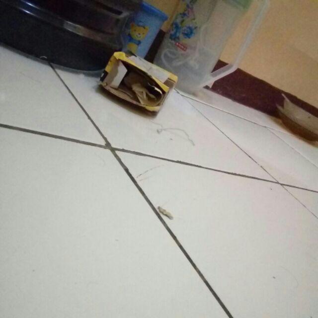 Kabel Colokan Mug Teko Ketel Pemanas Air Listrik Electric Heater