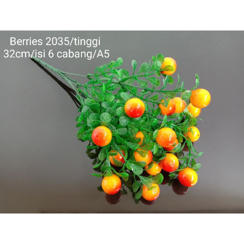 Tanaman Berries Plastik 2035