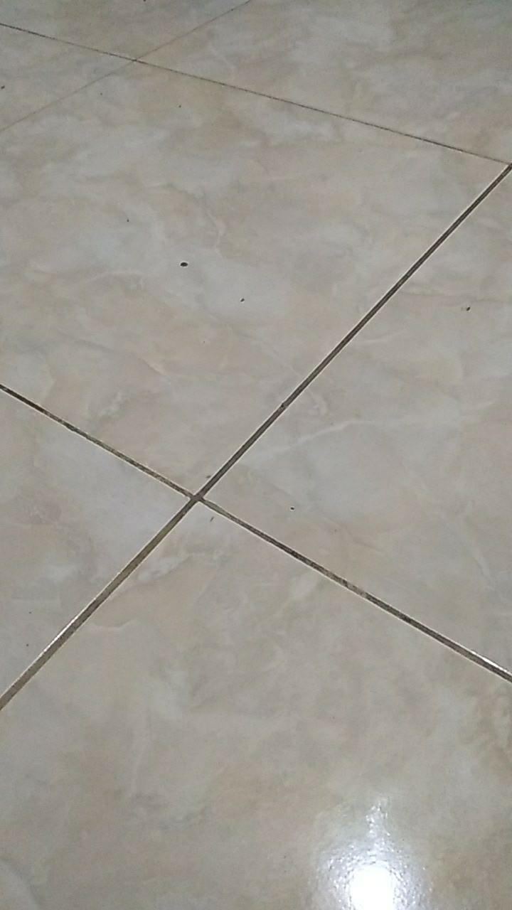 Medium Square Model Lama 800ml